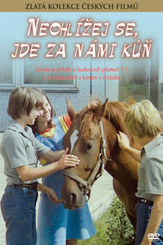 Neohlízej se, jde za námi kùn