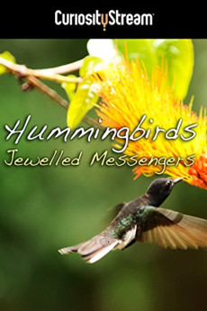 Hummingbirds: Jewelled Messengers