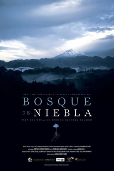 Bosque de Niebla